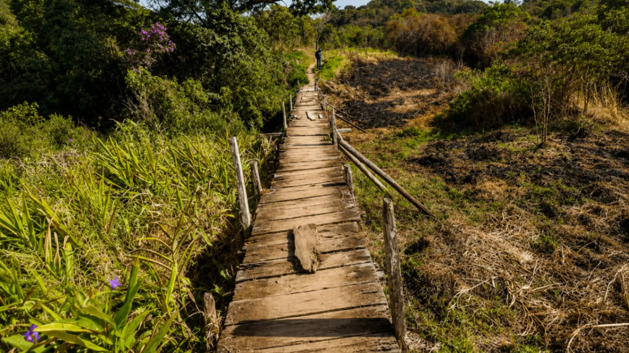 Ponte de Madeira — Estrada Evangelista de Souza